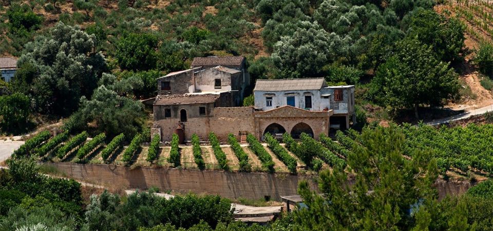 Chania: Milia Mountain Tour W/Lunch Olive Oil/Wine Tastings - What to Bring