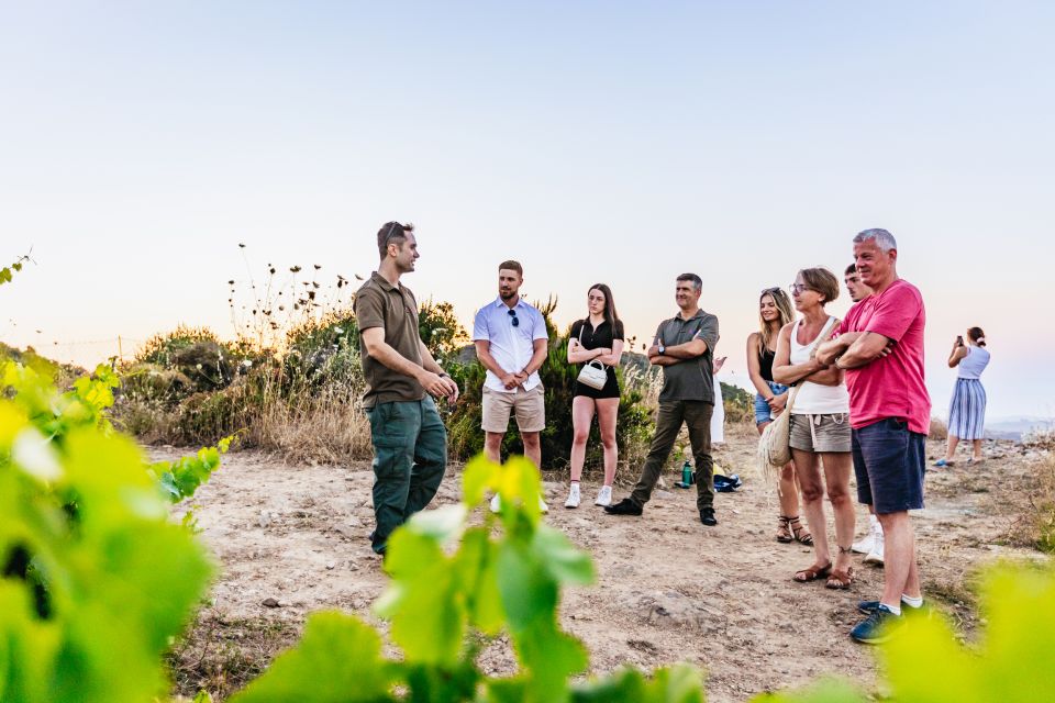 Chania: Off-Road Tour at Sunset With Wine Tasting - Participant Restrictions