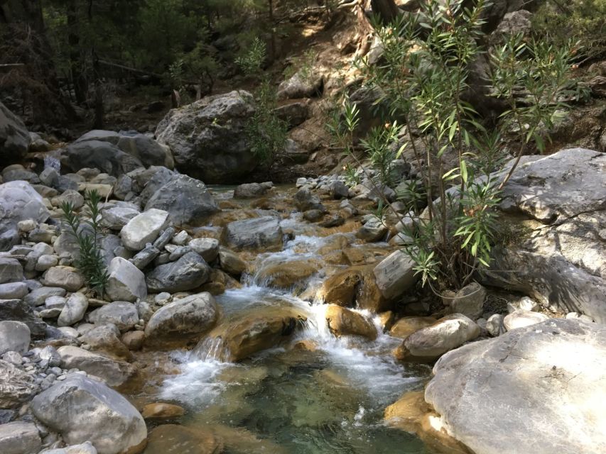 Chania to Imbros Gorge Private Full Day Transfer Tour - Swimming at Sfakia Port