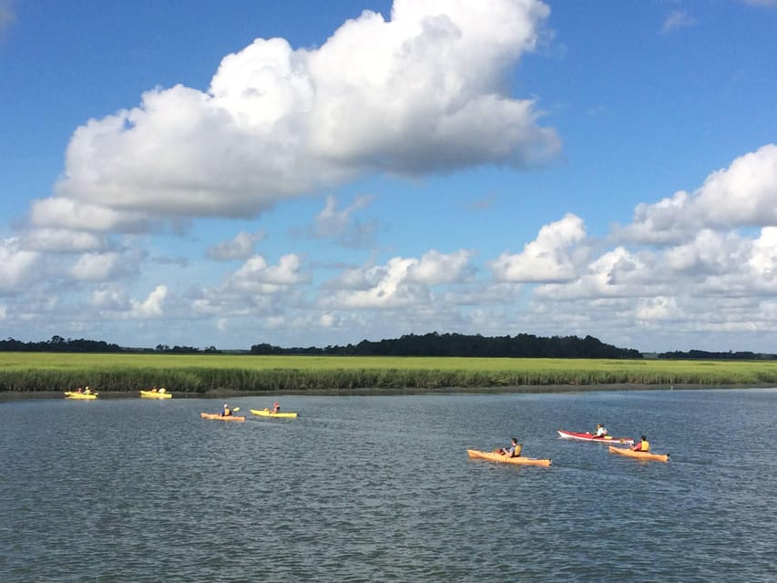 Charleston: Tandem or Single Kayak Tour With a Guide - What to Bring and Important Information