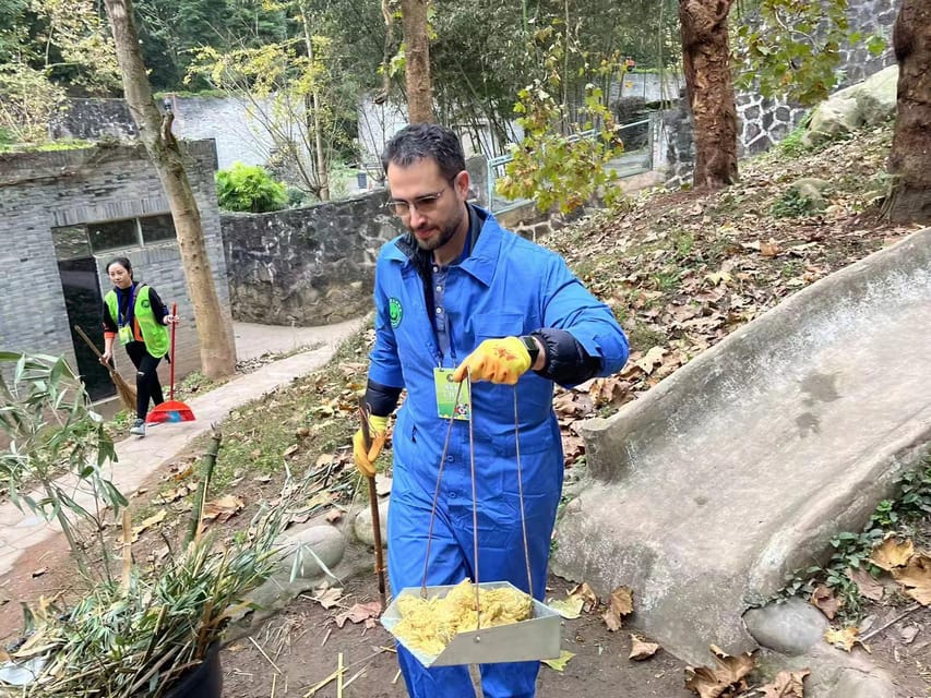 Chengdu: Dujiangyan Panda Base Volunteering Day Trip - Participant Requirements