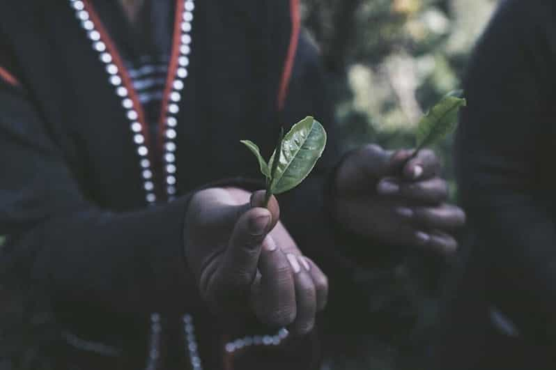 Chiang Mai: 2-Day LAHU Tribe & Tea Tourism Experience - Important Information for Participants