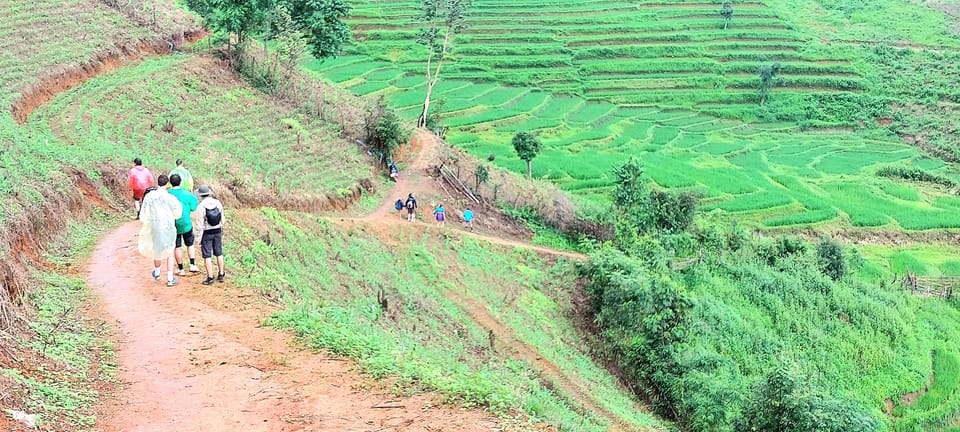 Chiang Mai: 2 Days Trekking & Elephant Care - Bamboo Rafting Experience