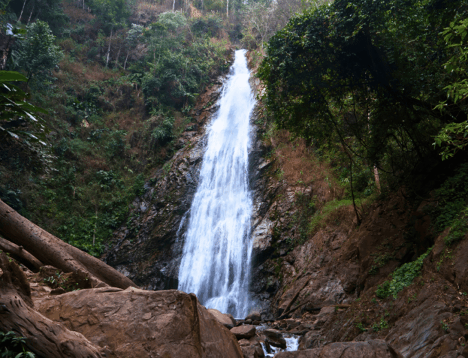 Chiang Mai: Chiang Rai & Doi Mae Salong Tea Plantation Tour - Scenic Drive and Photo Stops
