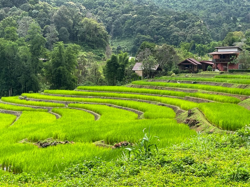 Chiang Mai: Doi Inthanon and Elephant Sanctuary Tour - Important Information