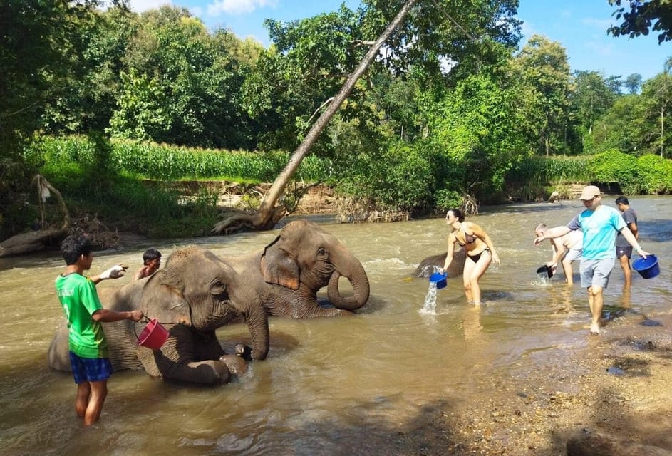 Chiang Mai: Doi Inthanon National Park & Elephant Sanctuary - Recommended Packing