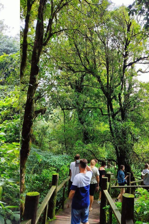 Chiang Mai: Doi Inthanon National Park Sightseeing - Customer Feedback Review