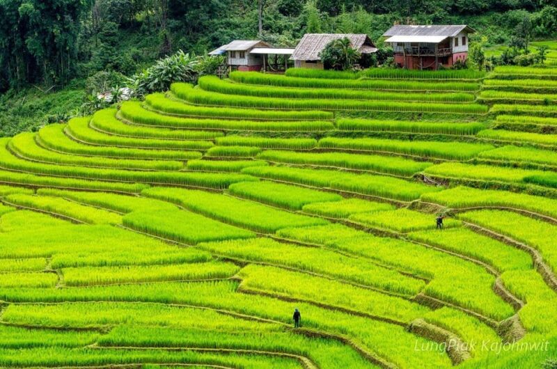 Chiang Mai: Doi Inthanon Park, Waterfalls and Hilltribe Tour - Important Notes