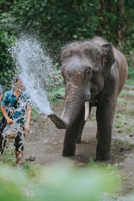 Chiang Mai: Elephants Sanctuary, Waterfalls, Trekking 2 Days, Sleep 1 Night - Suitability and Age Restrictions