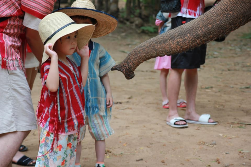 Chiang Mai: Full Day Elephant Eco Park Tour + Bamboo Rafting - Customer Reviews