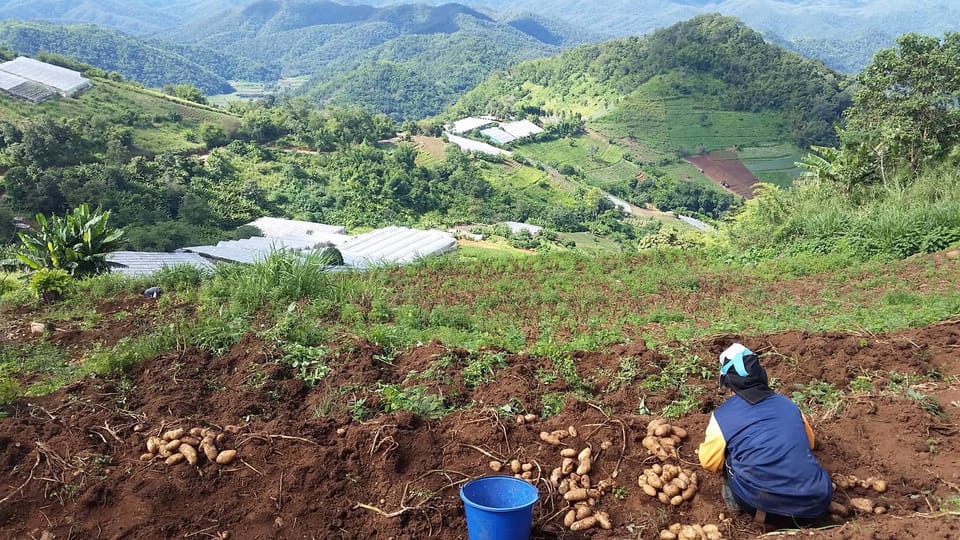 Chiang Mai: Full-Day Hill Tribe Countryside Villages Tour - Visiting Hill Tribe Villages