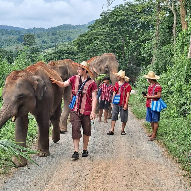 Chiang Mai: Half Day Elephant Eco Park Tour - Reviews and Ratings