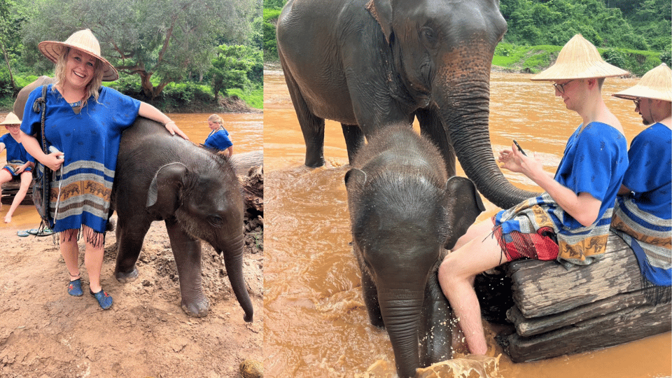 Chiang Mai: Half Day Walking With Giant Elephants - What to Bring