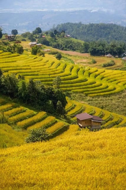 Chiang Mai : Pa Bong Piang Rice Terraces & Doi Inthanon - Pa Bong Piang Rice Terraces