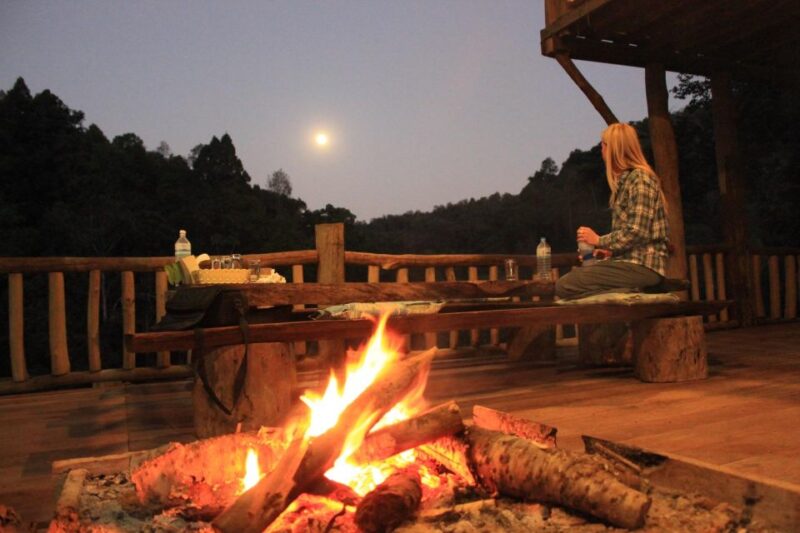 Chiang Mai: Tree House Stay & Jungle Zip-Lining - Zip-Lining Experience