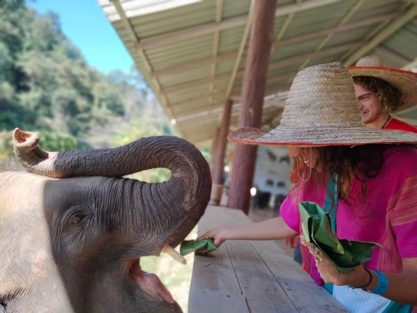 Chiang Mai : Whitewater Rafting + Elephant Care - Rafting Companys Reputation