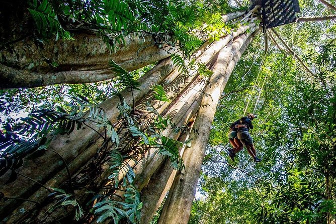 Chiang Mai Zipline White Water Rafting and Elephant Sanctuary - Health and Safety Information