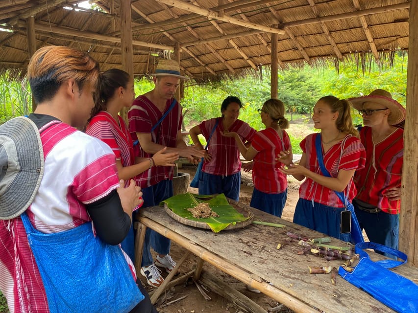 Chiang Rai:Experience the Way of the Elephants [Half-Day] - Highlights of the Experience