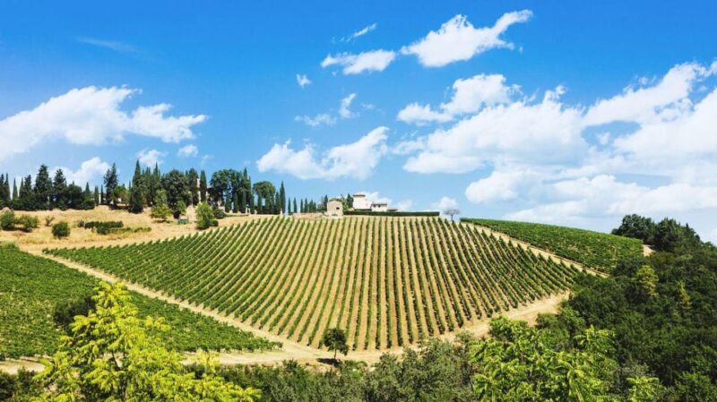 Chianti 2.5-Hour E-Bike Private Tour + Olive Oil and Gelato - E-Bike Rental and Operation