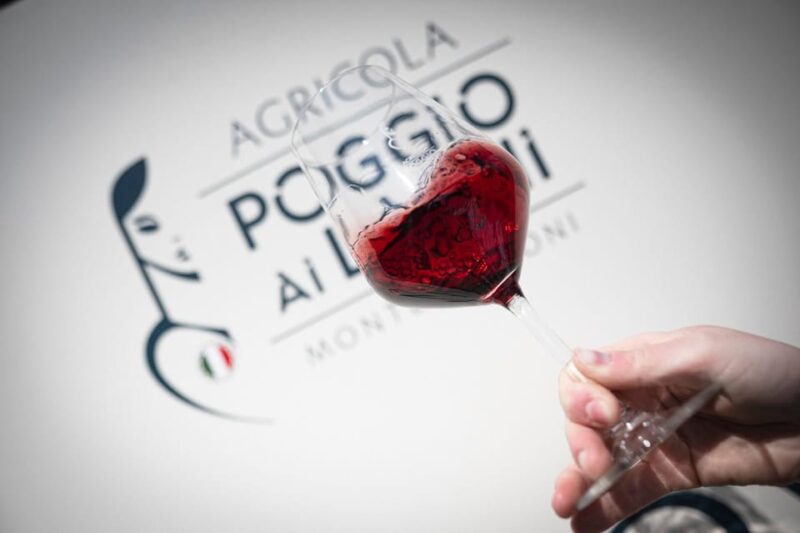 Chianti Lunch With Wine Tasting at Poggio Ai Laghi Winery - Accessibility and Group Options