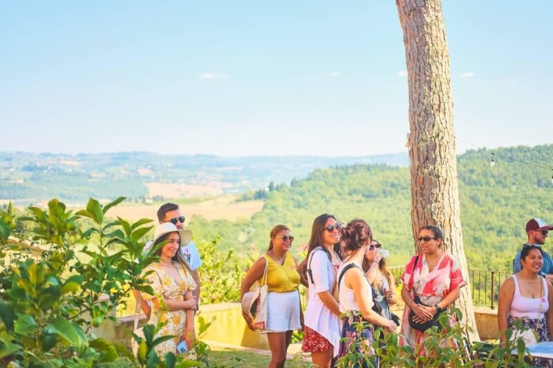 Chianti Wine Region From Florence With Wine Tastings - Highlights of the Experience
