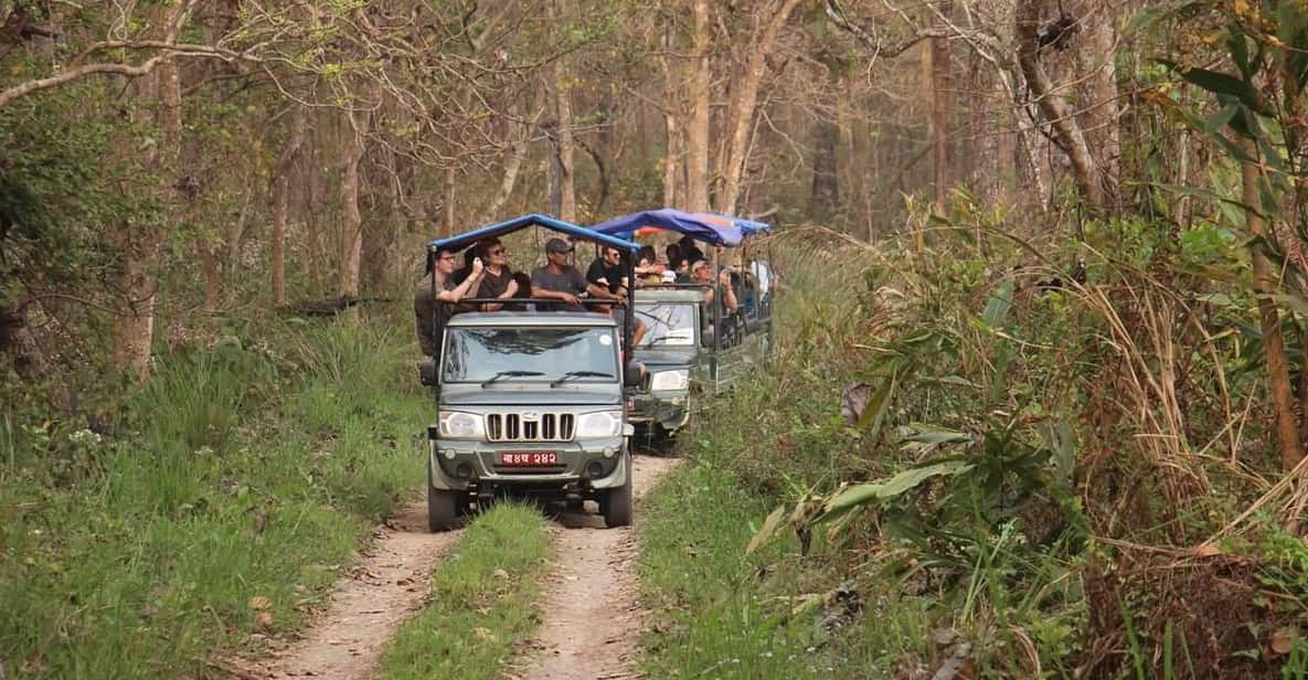 Chitwan: 3-Day Chitwan National Park Safari Tour - Frequently Asked Questions