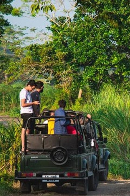 Chitwan Jungle Safari 2 Nights 3 Days From Kathmandu - Best Time to Visit