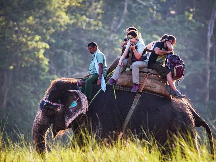 Chitwan National Park Tour With Hotel Transfers - 2N & 3D - Recommended Packing List