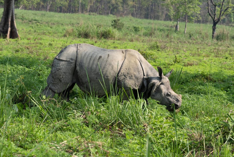 Chitwan Safari 3 Nights 4 Days Tour - Transportation and Accommodation