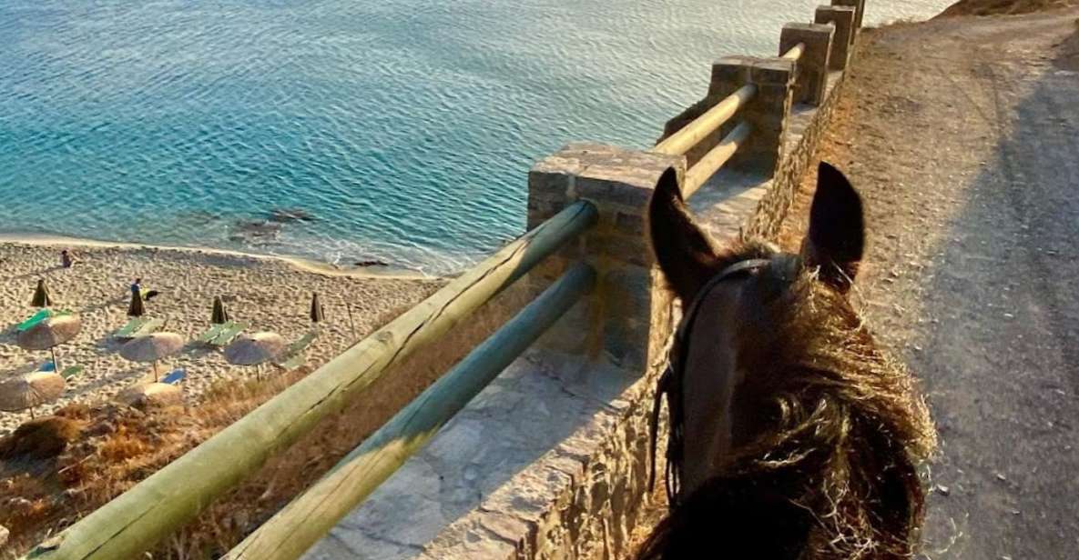 CHR - Crete Horse Riding: East Coastline Ride - Pricing and Availability