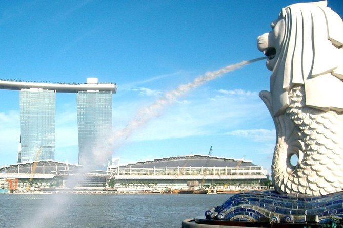 City Tour+Gardens by the Bay(CloudForest&Super Tree)Transfers - Traveler Considerations