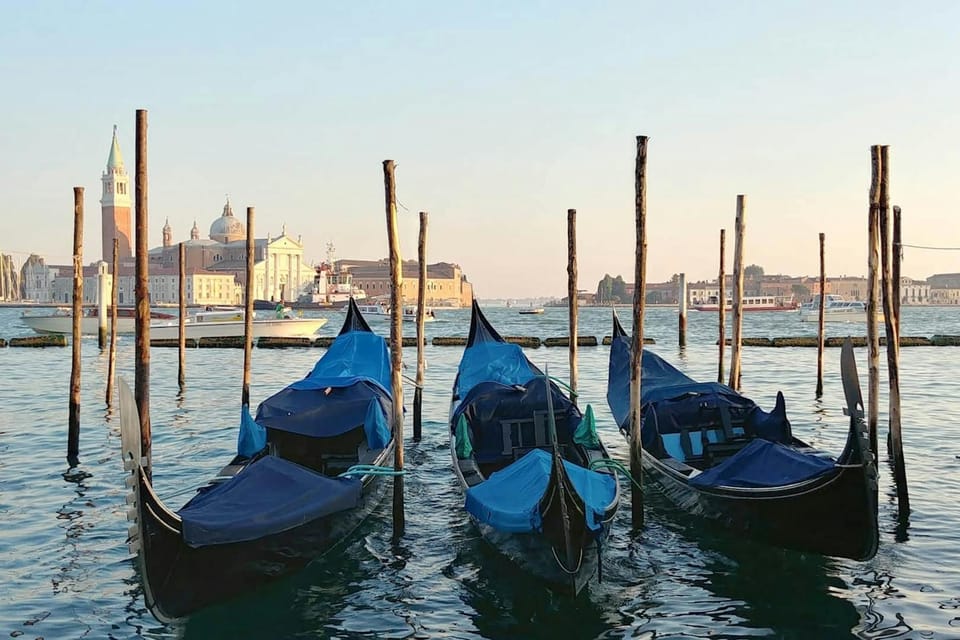 Classic Venice Tour - Accessibility Features