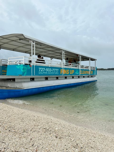 Clearwater Beach: Donuts and Dolphins - Customer Feedback