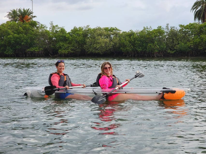 Clearwater: Guided Clear Kayaking Tour - Preparation and Important Information