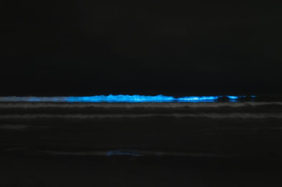 Cocoa Beach/Merritt Island:Bioluminescent Kayak Tour - Frequently Asked Questions