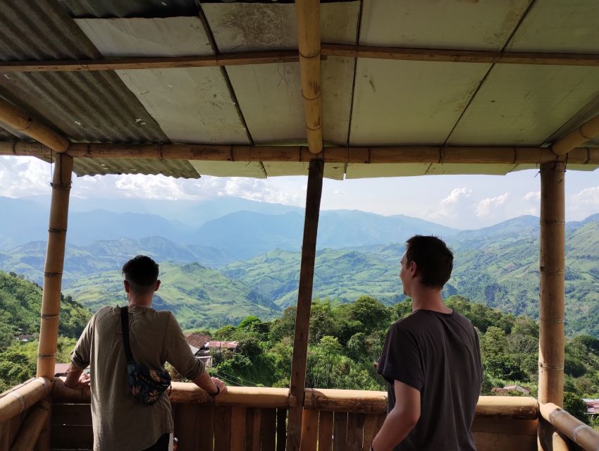 Coffee Region Colombia: Authentic Coffee Experiences - Insights Into Coffee Production