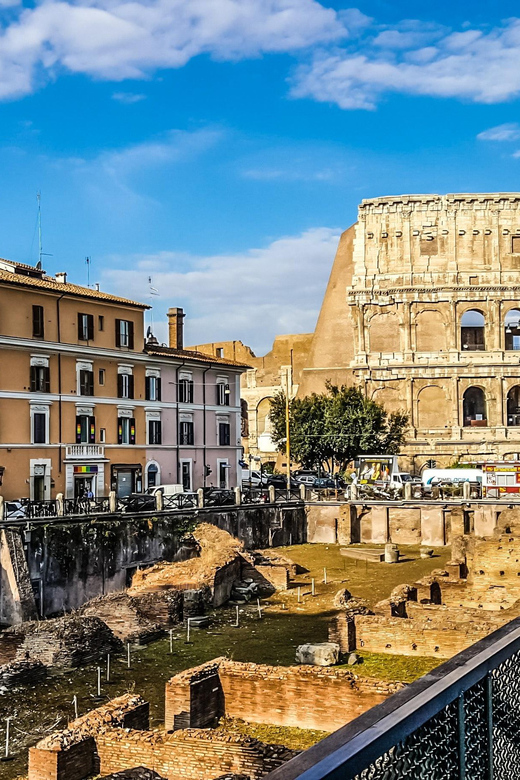 Colosseum Ticket, Palatine Hill and Roman Forum Guided Tour - Accessibility