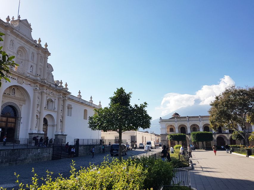 Combo Tour: Colonial Antigua & Guatemala City Explorer Tour - Customer Feedback