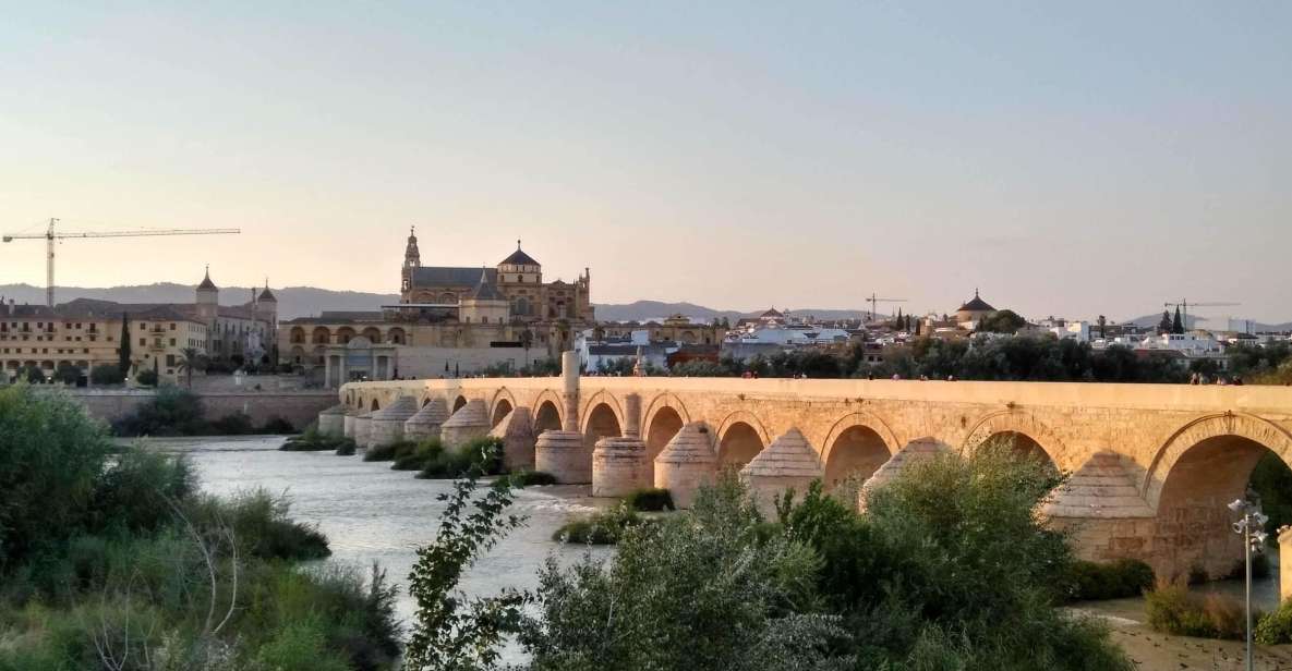 Córdoba Highlights Walking Tour - Guided by Local Expert