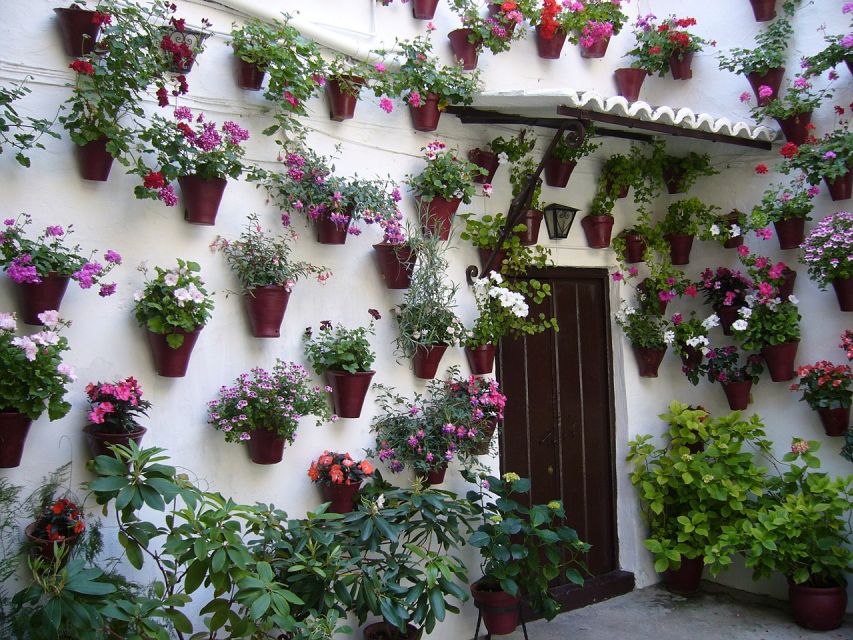 Córdoba: Private Guided Walking Tour - Important Information