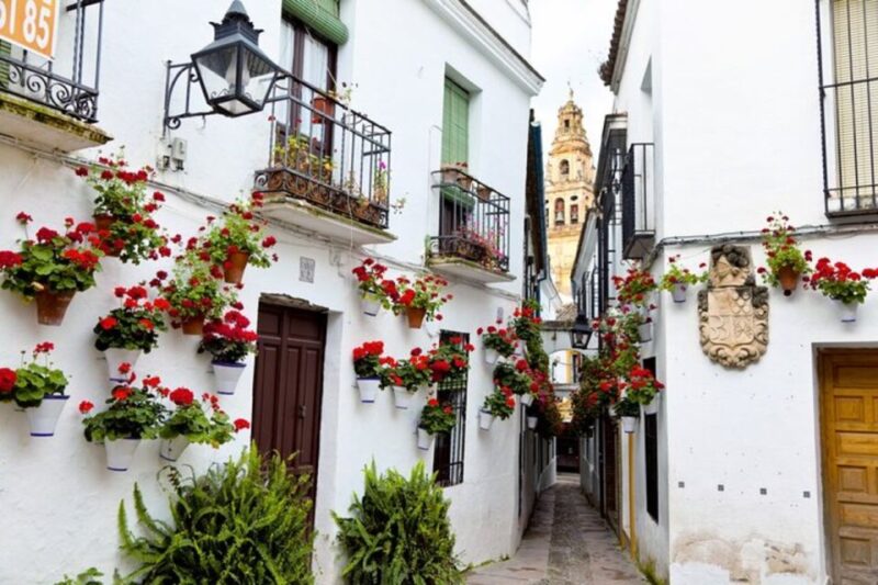 Córdoba: Private Mosque-Cathedral and City Tour - Meeting Point and Availability
