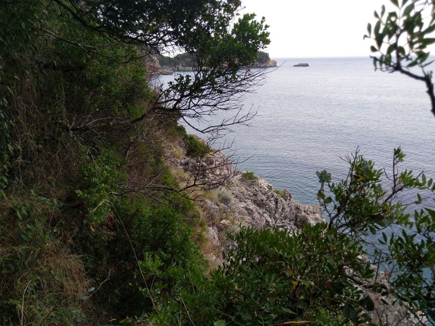 Corfu: Hiking in Olive Groves,Village,Sunset,with Swim Stop - Customer Reviews