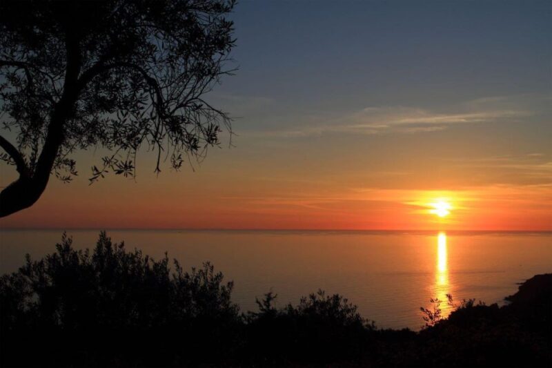 Corfu Town Walking Tour & Mouse Island Cruise With BBQ Meal - Guided Stroll Through Corfu