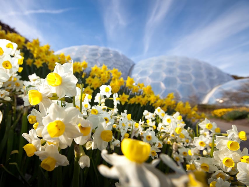 Cornwall: Eden Project Entry Ticket - Background Information