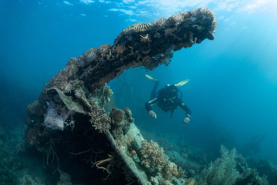 Coron Reef and Wrecks Tour (Private Tour) - Tour Duration and Language