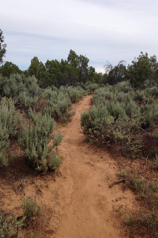 Cortez: Hawkins Nature Preserve Guided Walking Tour - Culinary Treat Included