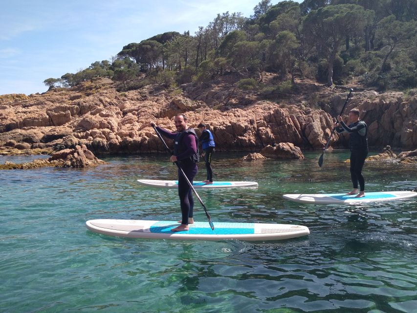 Costa Brava: Stand-Up Paddleboarding Lesson and Tour - Paddleboarding Basics and Positions