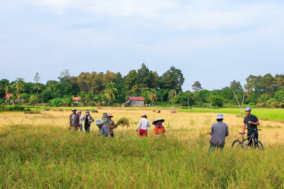 Country Cycling & Homemade Lunch in Siem Reap - Local Culinary Delights