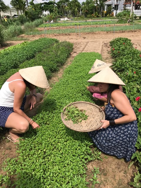 Countryside Bike Tour, Basket Boat and Cooking Class - Additional Information