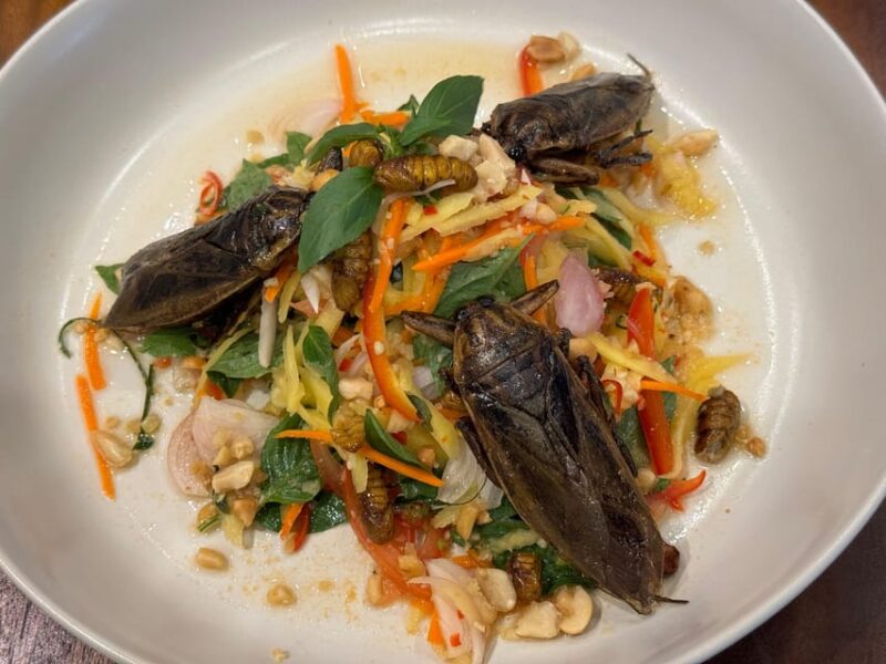 Creative Insect-Based Dinner - Sourcing Quality Ingredients